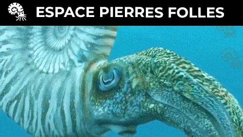 Soraya Goulart - Projet Digital Campus